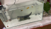 Big size crystal aquarium